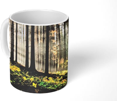 Mok - Koffiemok - Zon - Takken - Bomen - Bos - Natuur - Mokken - 350 ML - Beker - Koffiemokken - Theemok