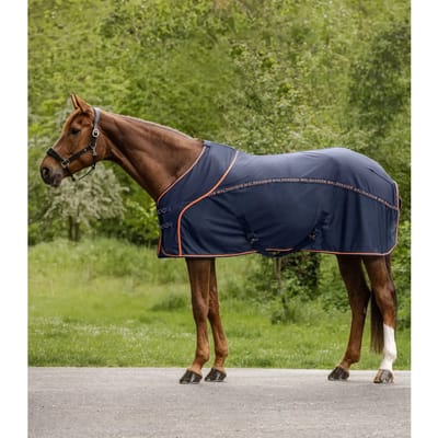 Vliegenbeschermdeken voor paard in de zomer Waldhausen Cooler