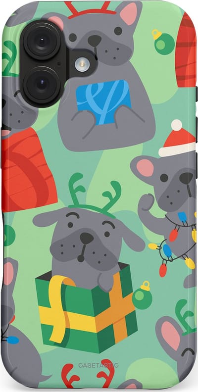Casetastic hoesje geschikt voor Apple iPhone 16 - MagSafe - Dubbellaagse bescherming - Hondje als Kerstcadeau - Fashion Case - Mintgroen Grijs Rood