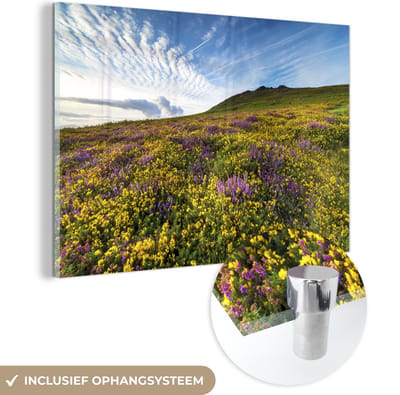 ® Glasschilderij 180x120 cm - Schilderij acrylglas - Wilde bloemen in het Nationaal Park Pembrokeshire Coast in Engeland - Foto op glas - Muurdecoratie woonkamer - Wanddecoratie slaapkamer - Schilderijen