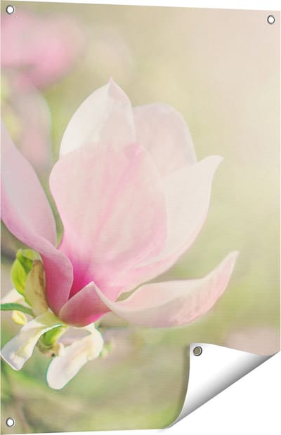 Gards Tuinposter Roze Magnolia Bloem - 60x80 cm - Tuindoek - Tuindecoratie - Wanddecoratie buiten - Tuinschilderij