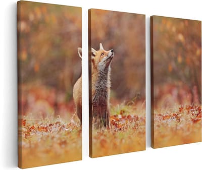 Artaza Canvas Schilderij Drieluik Vos in het Bos tussen de Bladeren - 120x80 - Foto Op Canvas - Canvas Print