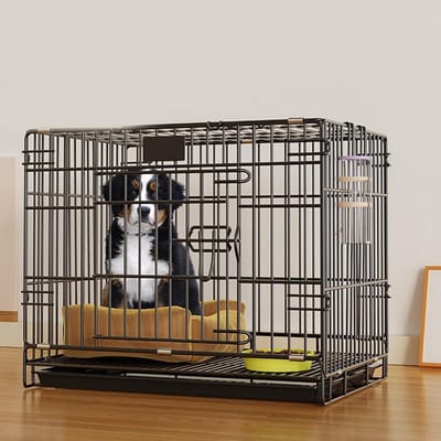 Hondenkrat - Hondenkooi Puppy - Veilig Vervoer - Verwijderbare Lade - 50x33x38 cm - Zwart