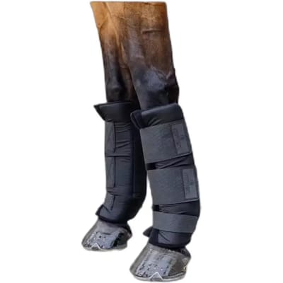 Kentucky Horsewear - Stalbeschermers PROtect classic voor zwart size L
