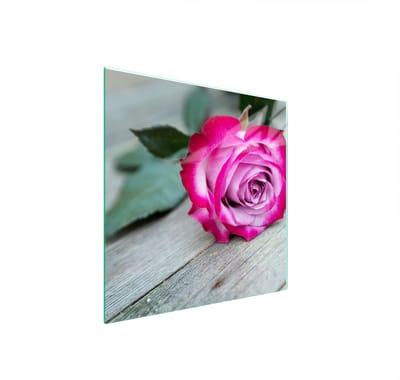 TMK ArtDeko - Beschermplaat voor fornuis - 50x52 cm - Geharde Glas - Róża