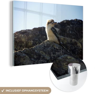 ® Glasschilderij 180x120 cm - Schilderij acrylglas - Een kookaburra of lachvogel op een rots gedurende een zonnige dag - Foto op glas - Muurdecoratie woonkamer - Wanddecoratie slaapkamer - Schilderijen