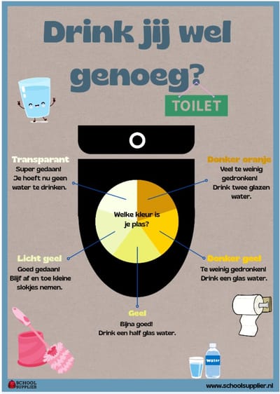 School Supplier - Drink jij wel genoeg? - Educatieve poster over water drinken - A2 (42 × 59,4 cm)