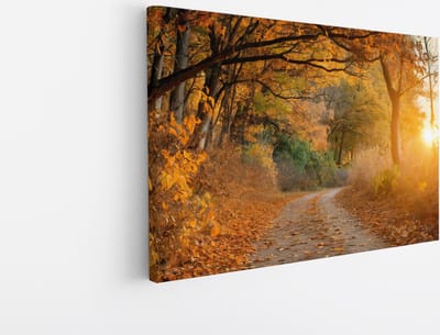 Saammp Canvas Schilderij - Weg door het bos - Herfst - Landschap - Natuur - 45x30 - Foto op canvas - Wanddecoratie - Muurdecoratie Woonkamer - Slaapkamer decoratie - Canvas Print
