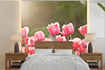Behang - Fotobehang Tulpen - Zon - Lente - Breedte 350 cm x hoogte 350 cm