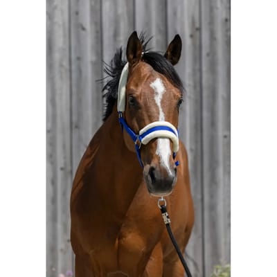 Synthetisch schapenvacht halster voor paarden Riding World