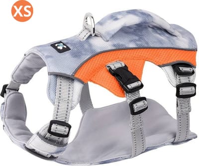 Bovista Koelvest Hond - Koelvesten - Verkoeling - Honden Kleding - Hondenkleding - Duurzaam - Oranje - Maat XS