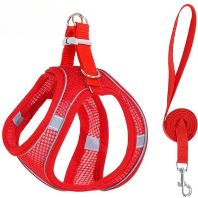 Katten Harnas Vest Borsttouw Set Met 1.5M Touw Reflecterend Ademend Verstelbaar Huisdier Harnas Voor Kleine Middelgrote Hond Buiten Wandelen (Red,M 7-8.5kg)
