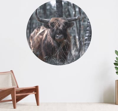 Muurcirkel zelfklevend behang - Schotse hooglander - Wanddecoratie - 080cm behangcirkel - Ronde sticker voor aan de muur - Behangsticker verkrijgbaar in verschillende formaten