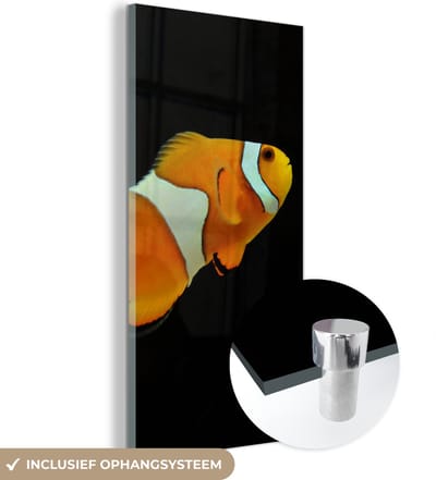 MuchoWow® Glasschilderij 20x40 cm - Schilderij acrylglas - Vis - Lijn - Zwart - Foto op glas - Schilderijen