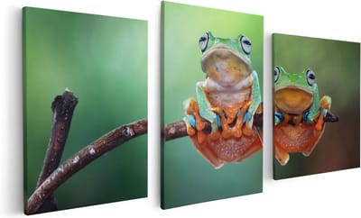 Artaza Canvas Schilderij Drieluik Twee Boomkikkers op een Tak - 120x60 - Foto Op Canvas - Canvas Print