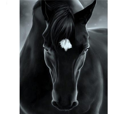 Peinture diamant cheval noir, image de strass, broderie, point de croix, décor rond complet 20X30CM black