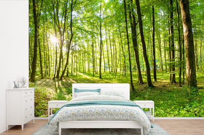 Behang - Fotobehang Natuur - Bomen - Bos - Groen - Zonlicht - Breedte 330 cm x hoogte 220 cm