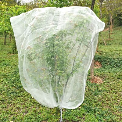 Dailygoods- Plantenbeschermingsnet 2 m x 2,4 m - Ademend - Scheurbestendig - Insectenwerend - Hoogwaardig Polyethyleen - Effectieve Bescherming - Insectengaas