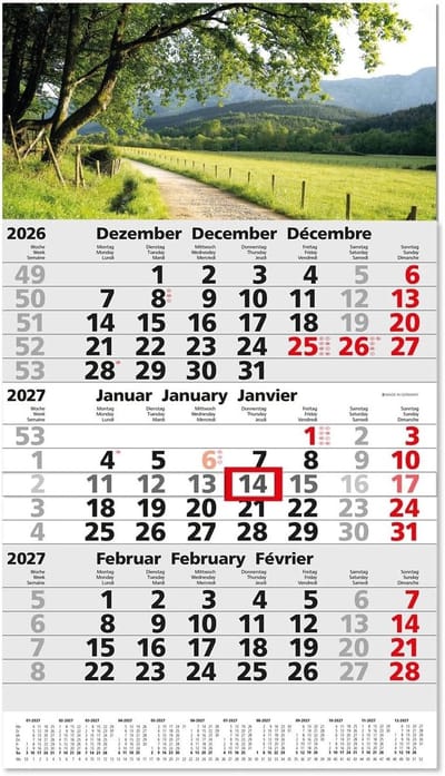 Wandelkalender - Multikleur - 33 x 53 cm - Compacte Driemaandskalender - Voor Kantoor en Thuis