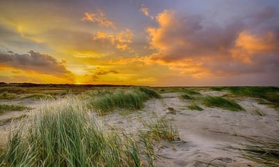 Fotobehang duinen en strand Schiermonnikoog 250 x 260 cm - € 175,--