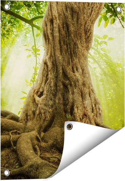 Gards Tuinposter Grote Boom in het Bos met Wortels - 40x50 cm - Tuindoek - Tuindecoratie - Wanddecoratie buiten - Tuinschilderij
