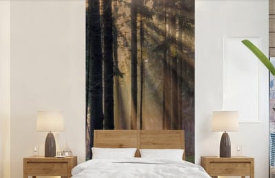 Behang - Fotobehang Bomen - Bos - Zon - Planten - Breedte 120 cm x hoogte 240 cm