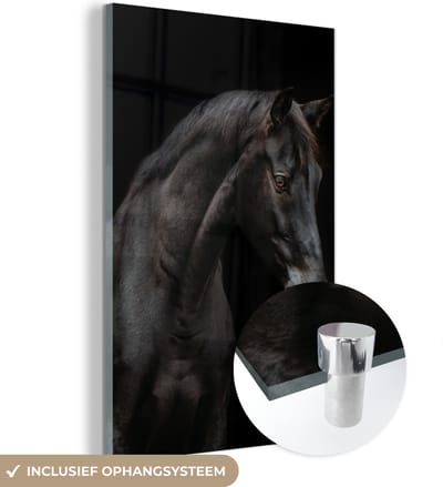 MuchoWow® Glasschilderij 120x180 cm - Schilderij acrylglas - Paard - Dieren - Zwart - Portret - Foto op glas - Schilderijen