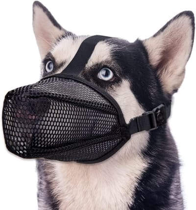 Dailygoods- Muilkorf Ademend - Verstelbaar - Muilkorf Kleine Hond - Muilkorf Middelgrote Hond - Muilkorf Grote Hond - Betere Bescherming - Hondensnuit