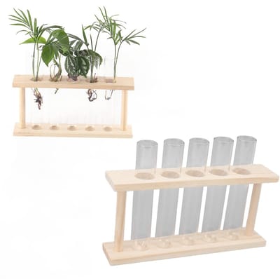 Store_8 - Plantvoortplantingsbuizen - Reageerbuisplantenterrarium - Houten standaard - Transparant - Woondecoratie - Geschikt voor planten - Unieke...
