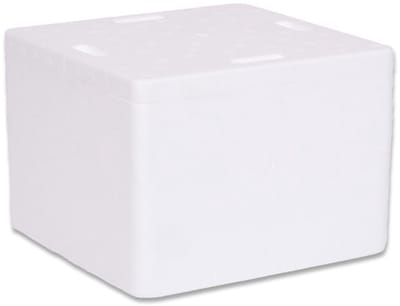 Thermobox met Deksel - Piepschuim Box - Voedsel Transport - Lichtgewicht Isolatie - 19.6x19.6x12.5 cm - Wit