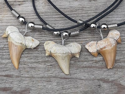 Fossiel haaientand met waxkoord ketting