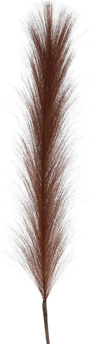 Non-branded Pluim Tak 4 X 9 X 80 Cm Donkerbruin