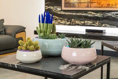 Bloempotten Trio van bloemschalen S - M & L in creme salie en oudroze met drainagesysteem