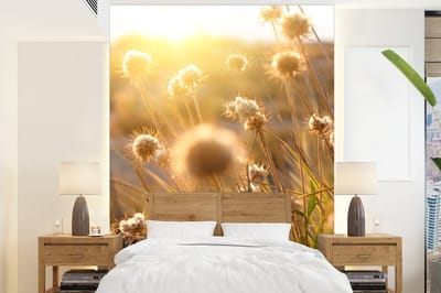 Behang - Fotobehang Planten - Natuur - Bloemen - Zon - Horizon - Breedte 205 cm x hoogte 280 cm