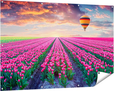 Gards Tuinposter Bloemenveld met Roze Tulpen - Luchtballon - 150x100 cm - Tuindoek - Tuindecoratie - Wanddecoratie buiten - Tuinschilderij