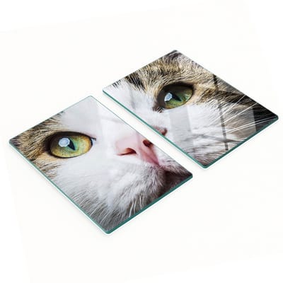Stijlvolle en duurzame glazen borden met groene kattenoogprint, 2x40x52 cm