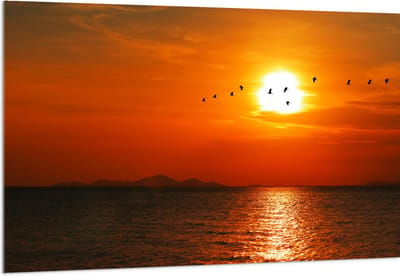 Acrylglas - Silhouet van Zwerm Vogels bij Zonsondergang boven de Zee - 150x100 cm Foto op Acrylglas (Wanddecoratie op Acrylaat)