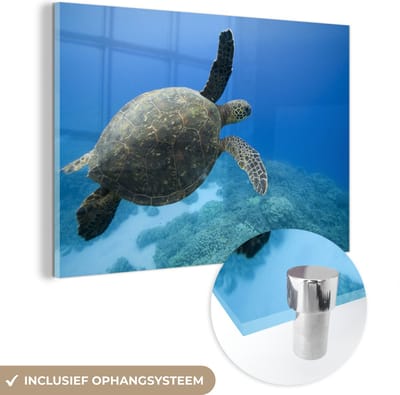MuchoWow® Glasschilderij 30x20 cm - Schilderij acrylglas - Groene zwemmende schildpad fotoprint - Foto op glas - Schilderijen