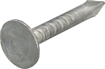 Proftec Asfaltnagel 3.0 X 20 mm Verzinkt Platkop DIN1160 (1KG)