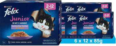 FELIX Zo lekker als het eruit ziet Junior natvoer voor katten (6 x 12 x 85g)