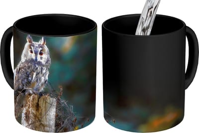 Magische Mok - Foto op Warmte Mokken - Koffiemok - Uil - Herfst - Vogel - Takken - Magic Mok - Beker - 350 ML - Theemok