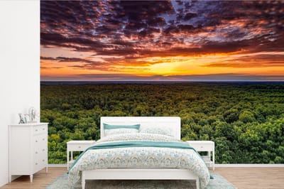 Behang - Fotobehang Bos - Nacht - Lucht - Horizon - Bomen - Breedte 390 cm x hoogte 260 cm