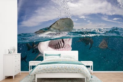 Behang - Fotobehang Haai boven het wateroppervlak - Breedte 360 cm x hoogte 240 cm