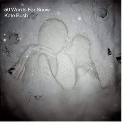 50 Words for Snow - Tiende Studioalbum - Wintersfeer en Muzikale Diepgang