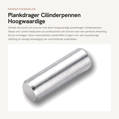 Dailygoods- Plankdrager - Cilinderpen - Roestvrij Staal - Positioneringspen - 2 Stuks - Duurzaam - Hoogwaardige Kwaliteit