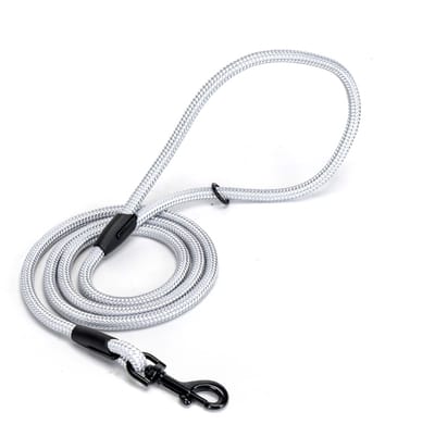 Nobleza Hondenriem - 120 cm - Ø 1 cm - Nylon - Lichtgrijs - Voor Kleine en Middelgrote Honden