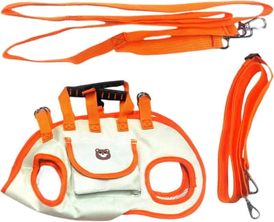Honden Rugzak - Draagtas Puppy - Buiten Avonturen - Ademend Mesh Ontwerp - S 2-4kg - Crystal Orange