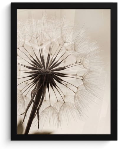 Poster in lijst - Fotolijst 30x40 cm - Posters - Paardenbloem - Minimalistisch - Wit - Posterlijst zwart - Decoratie - Wanddecoratie woonkamer - Muurdecoratie slaapkamer
