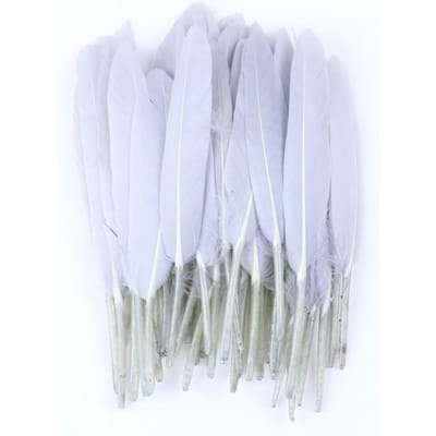 50/100/200 stuks Blauwe Ganzenveren Harde Schacht 4-6inch/10-15cm Echte Natuurlijke Zwanenveer Huis Decoratief Dromenvanger Handwerk 50Pieces