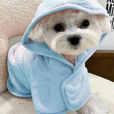 1 pièce Robe de bain pour animal de compagnie avec capuche, Plusieurs tailles et couleurs disponibles, Serviettes pour chiots, Serviettes pour animaux de compagnie, Accessoires pour chiens, Serviettes pour chats, Serviettes pour chiens L bleu